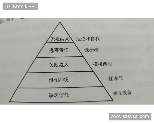 独家解读V5团队协作模式的优势与不足对比分析