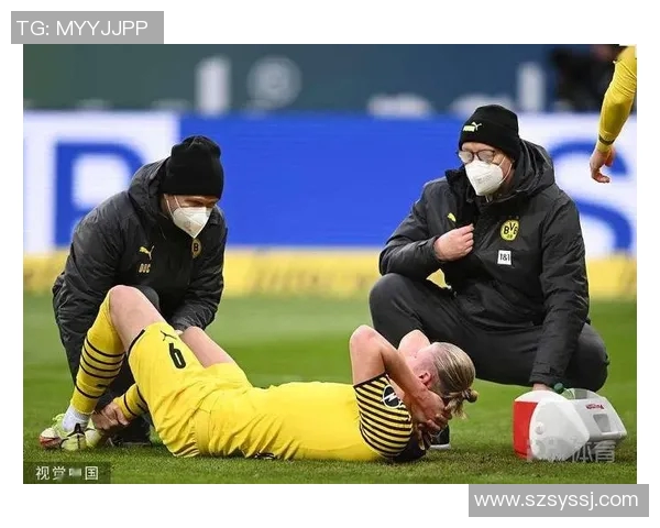 热火队再次遭遇伤病困扰，战绩受影响