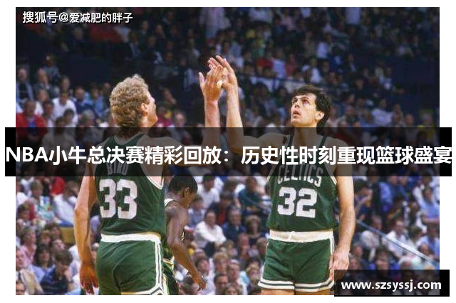 NBA小牛总决赛精彩回放：历史性时刻重现篮球盛宴