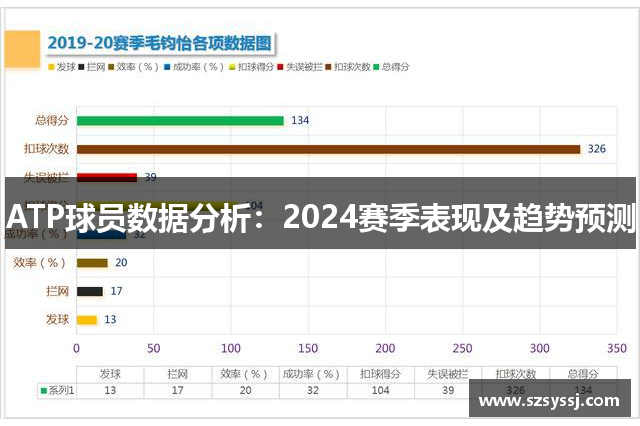 ATP球员数据分析：2024赛季表现及趋势预测